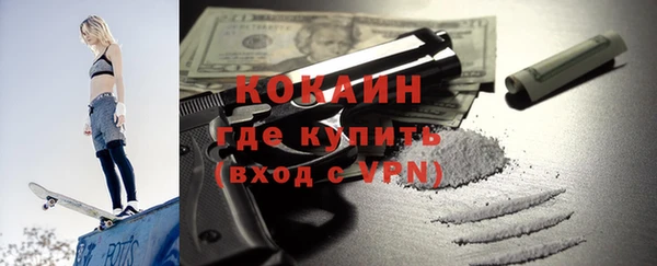 стаф Алзамай