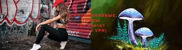 стаф Алзамай