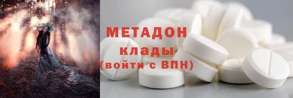 стаф Алзамай