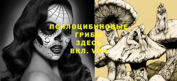стаф Алзамай