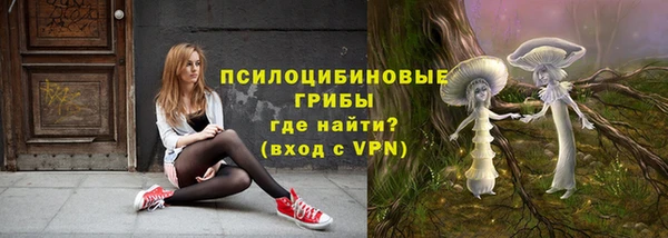 стаф Алзамай
