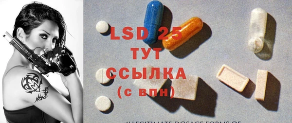 стаф Алзамай