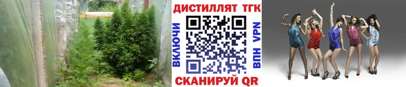 ОМГ ОМГ как войти  наркошоп  Буй  ТГК гашишное масло 